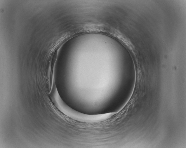 X0000067490009200604071215