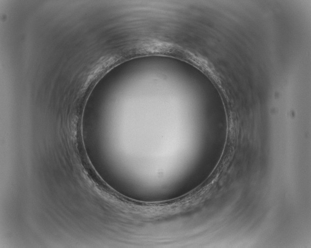 X0000067490010200604071215