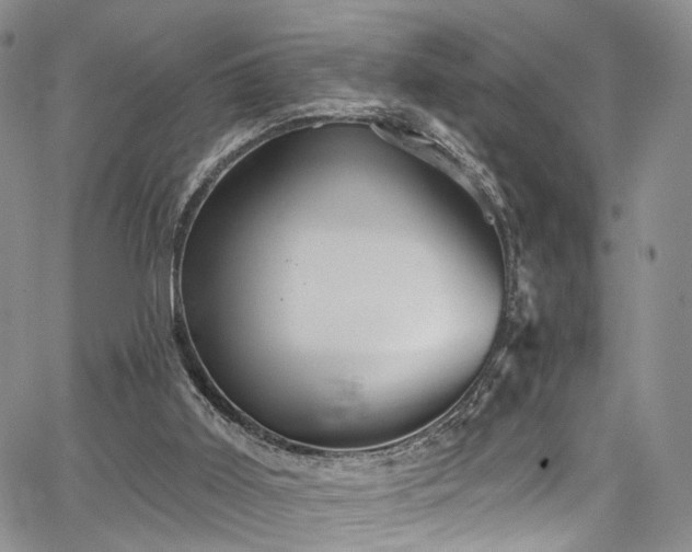 X0000067490011200604071215