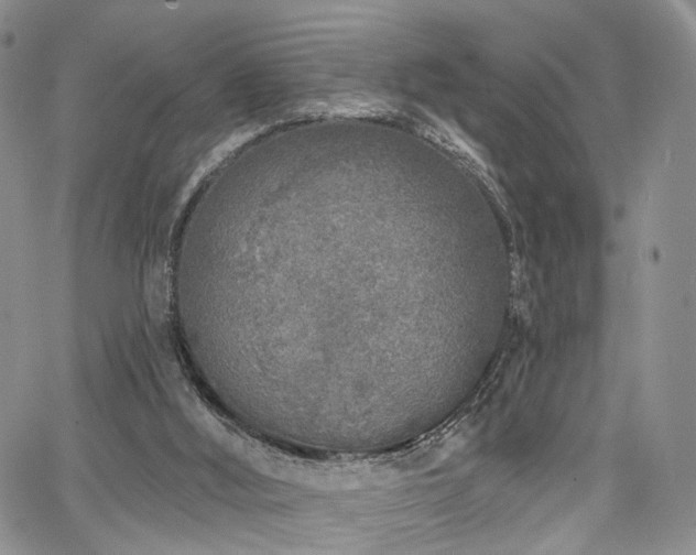 X0000067490012200604071215