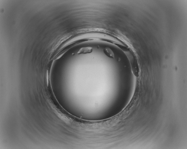 X0000067490013200604071215