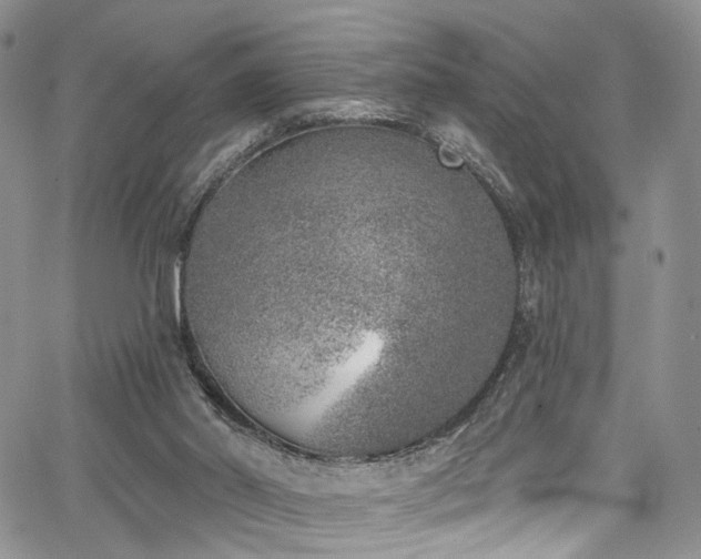 X0000067490014200604071215