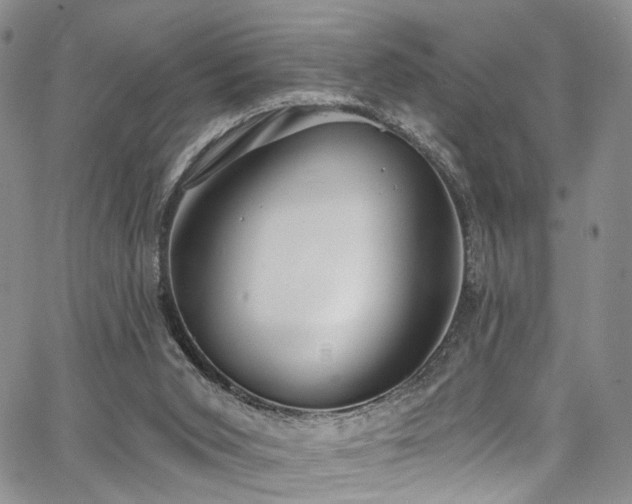 X0000067490015200604071215