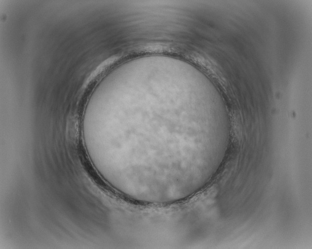 X0000067490016200604071215