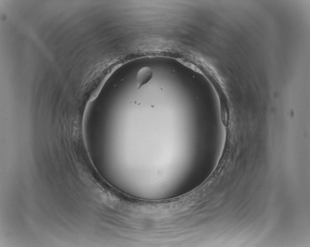 X0000067490017200604071215