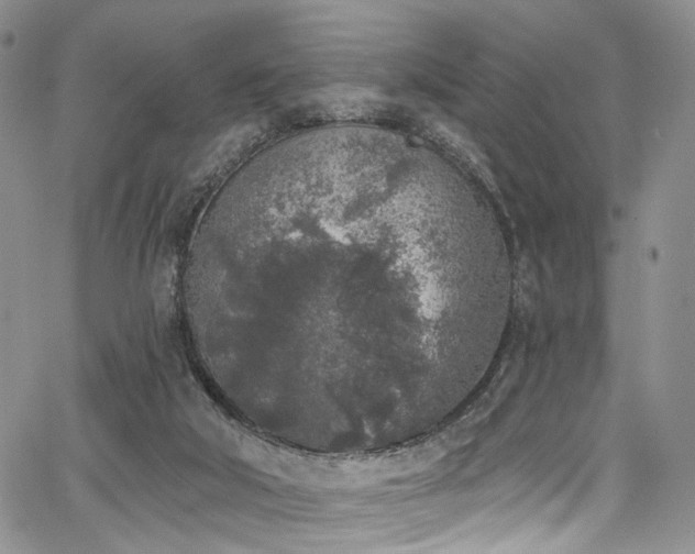 X0000067490018200604071215