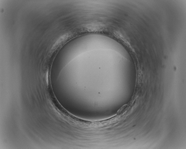 X0000067490019200604071215