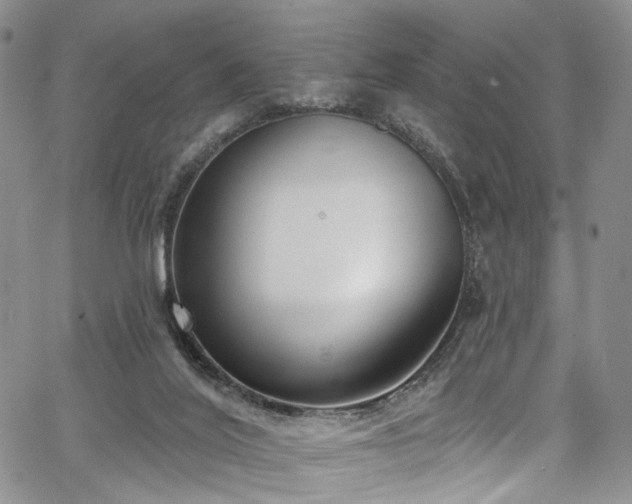 X0000067490020200604071215