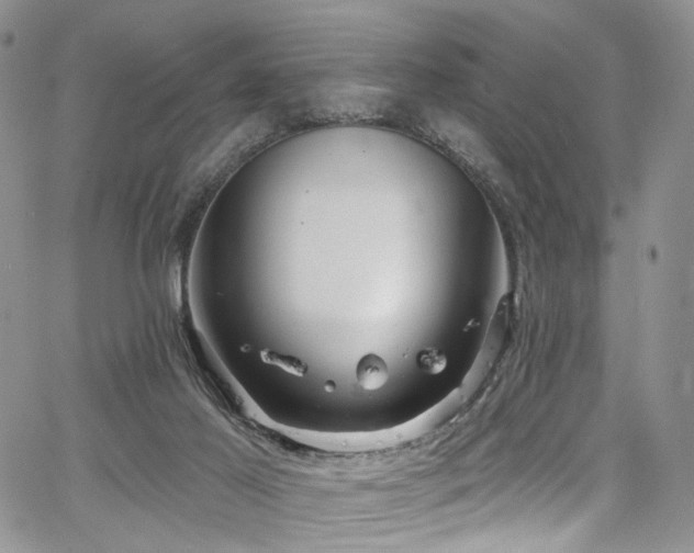 X0000067490021200604071215