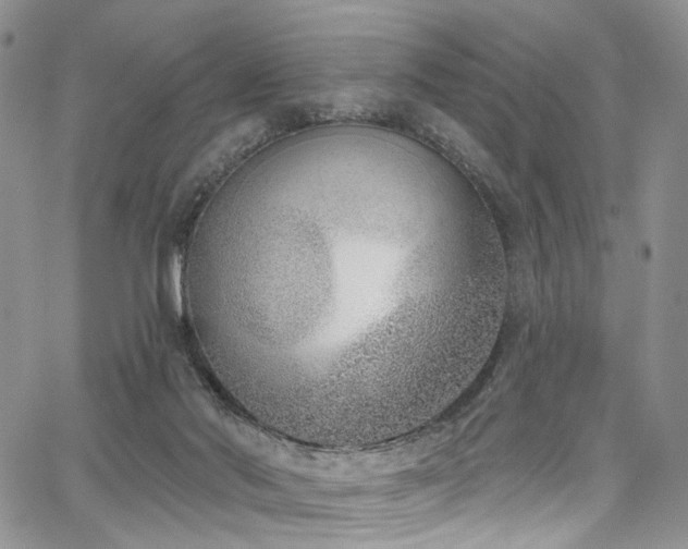 X0000067490022200604071215