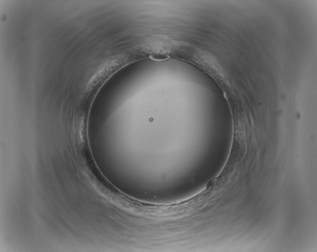 X0000067490023200604071215