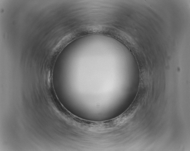 X0000067490024200604071215