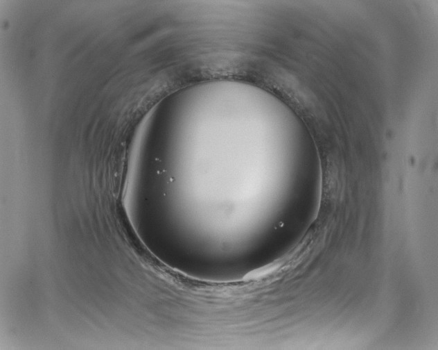 X0000067490025200604071215