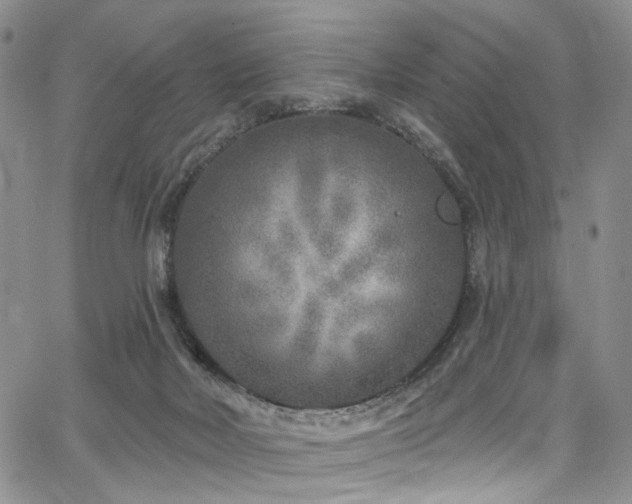 X0000067490026200604071215