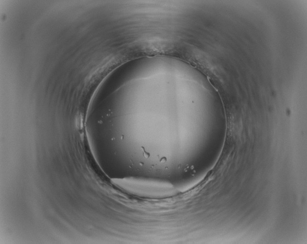 X0000067490027200604071215