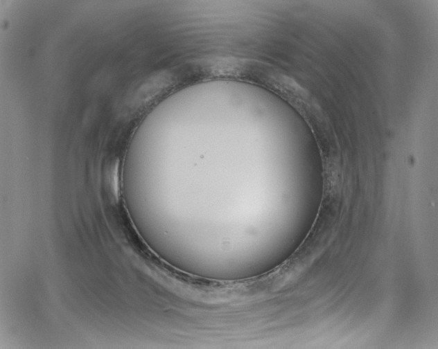 X0000067490028200604071215