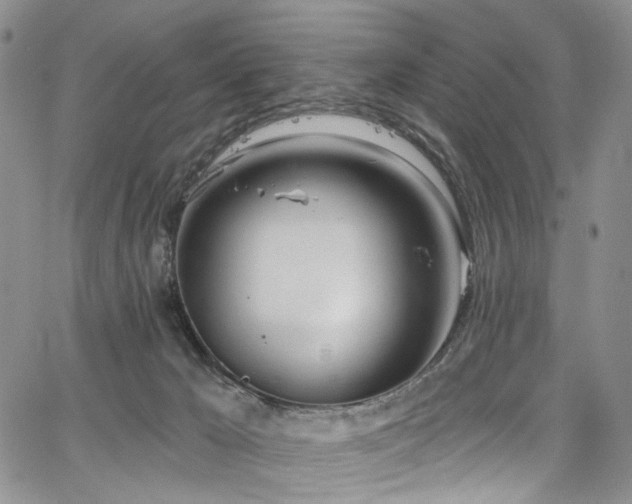 X0000067490029200604071215