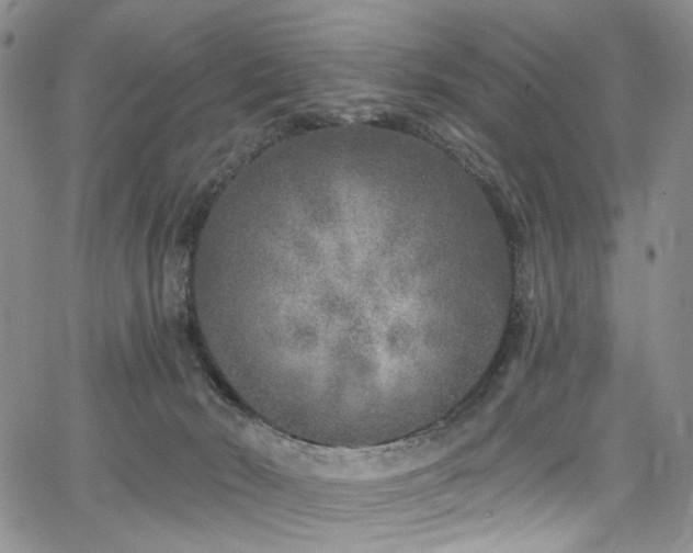 X0000067490030200604071215