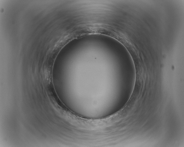 X0000067490031200604071215