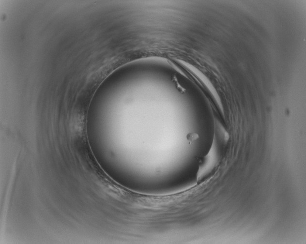 X0000067490033200604071215