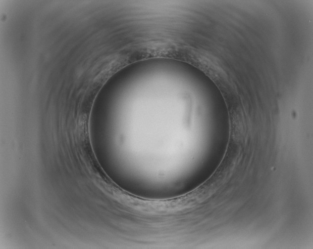 X0000067490034200604071215