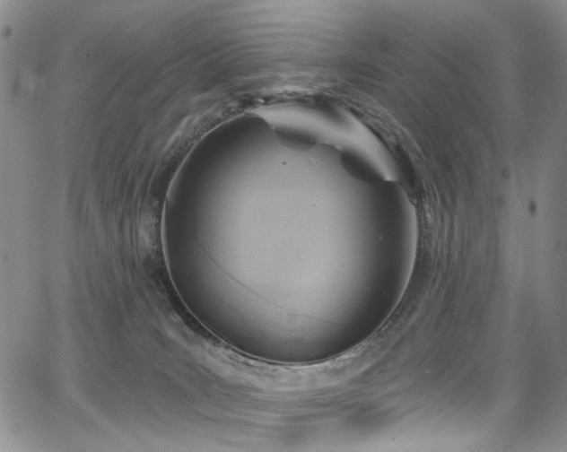 X0000067490035200604071215