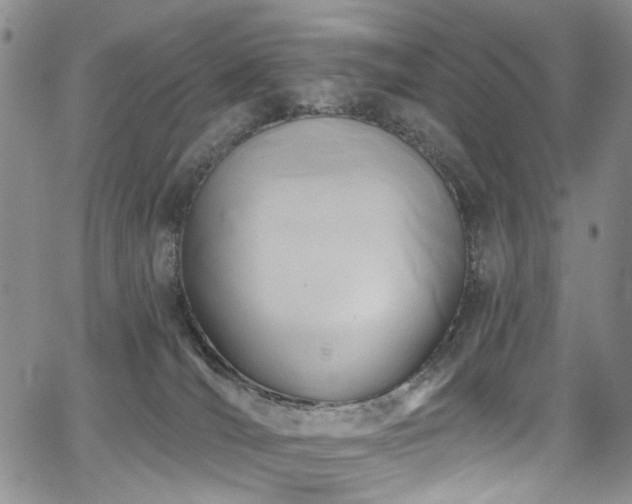 X0000067490036200604071215