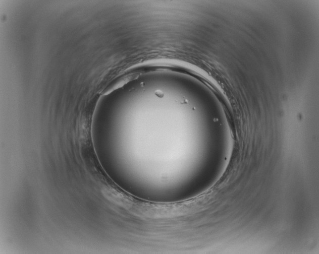 X0000067490037200604071215