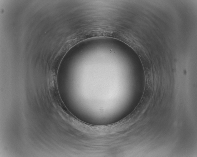 X0000067490038200604071215