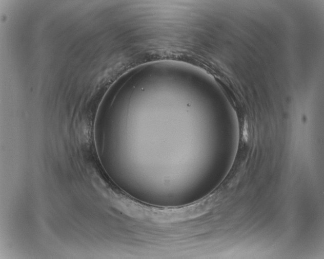 X0000067490039200604071215