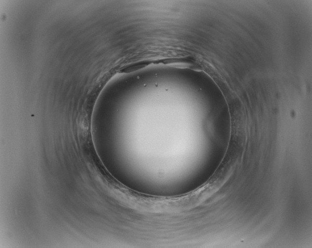 X0000067490040200604071215