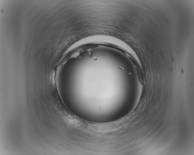 X0000067490041200604071215