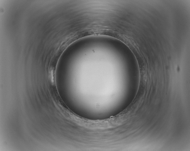 X0000067490042200604071215