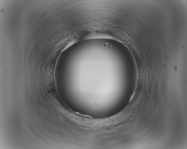 X0000067490043200604071215