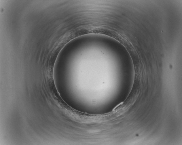 X0000067490044200604071215