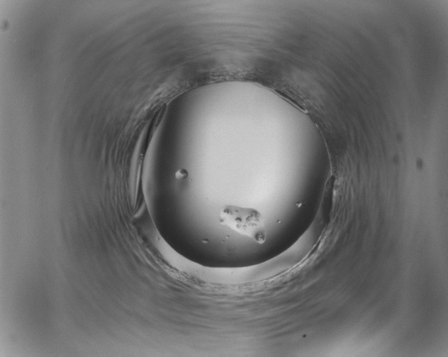 X0000067490045200604071215