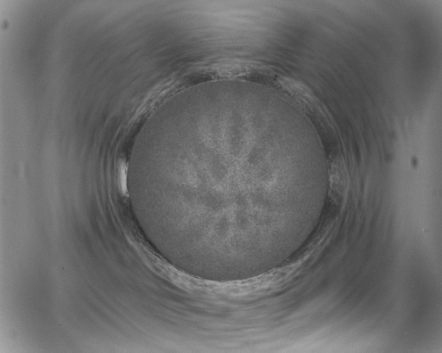 X0000067490046200604071215