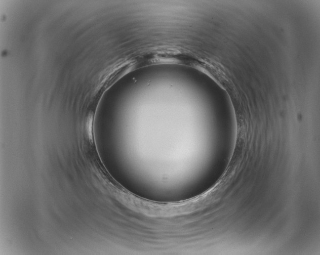 X0000067490047200604071215