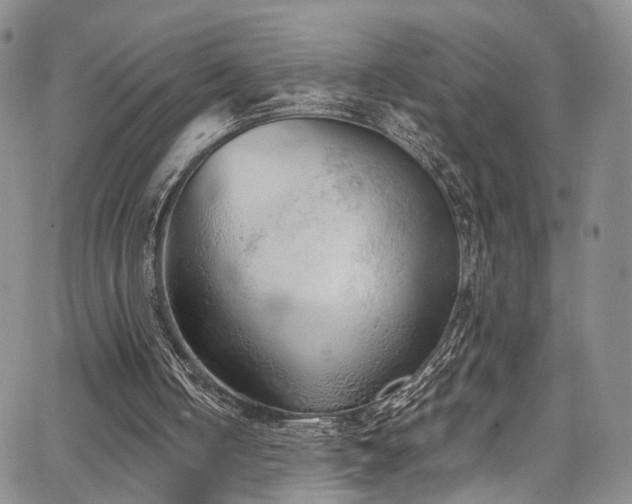 X0000067490050200604071214