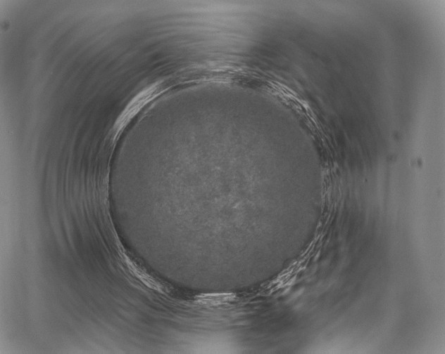 X0000067490051200604071214