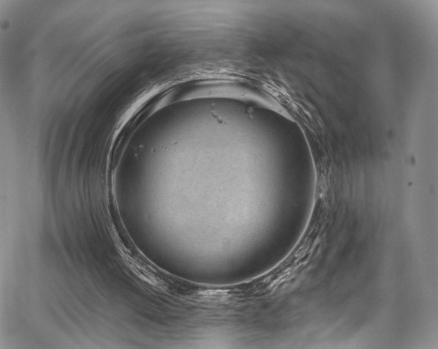 X0000067490052200604071214