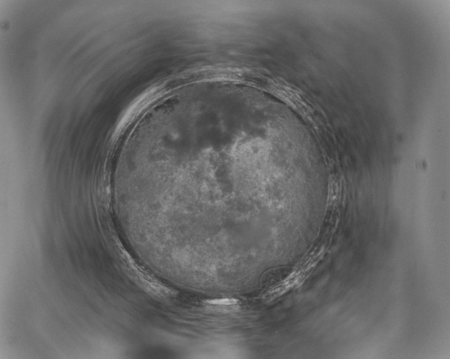 X0000067490053200604071214