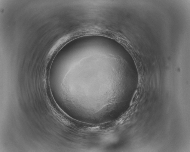 X0000067490054200604071214