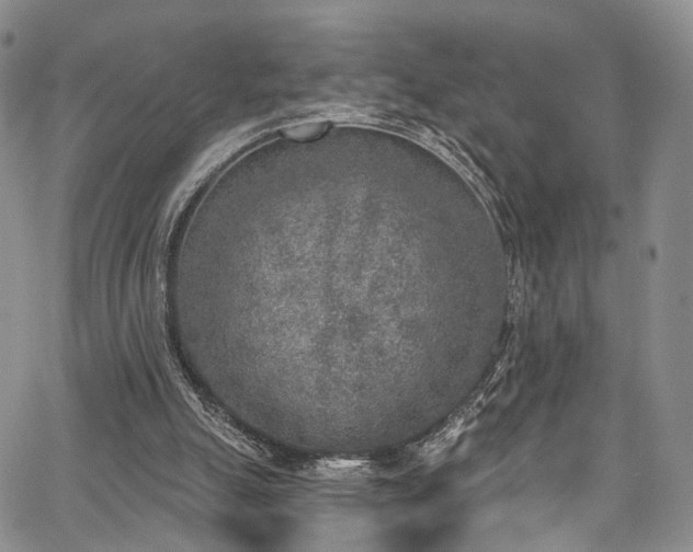 X0000067490055200604071214