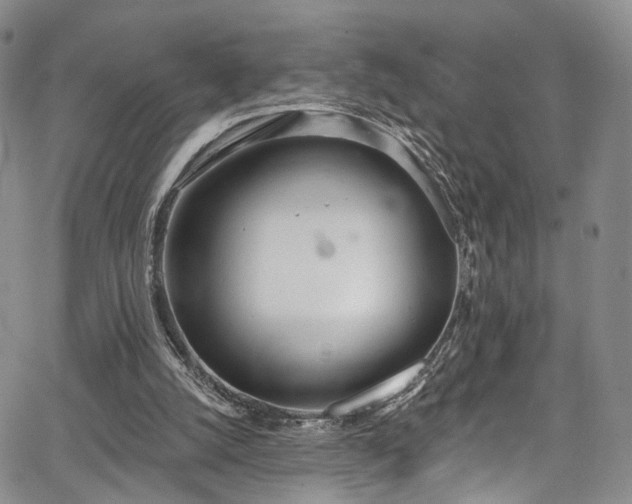 X0000067490056200604071214