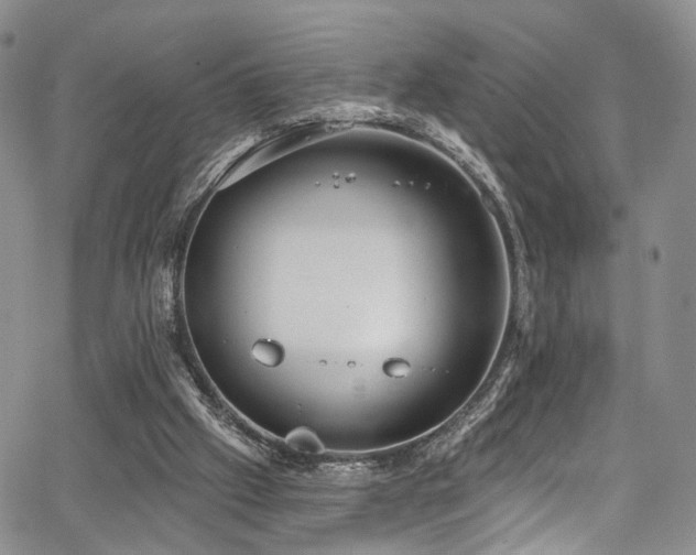 X0000067490057200604071214