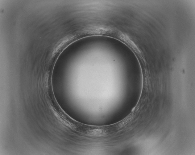 X0000067490058200604071214