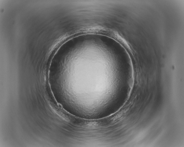 X0000067490059200604071214