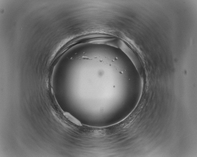 X0000067490060200604071214