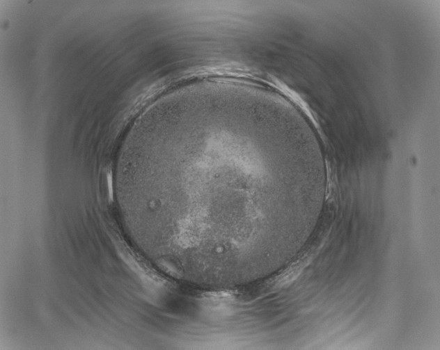 X0000067490061200604071214